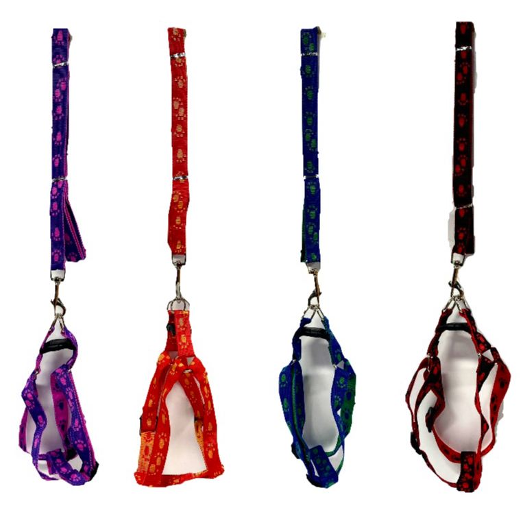 Collar mascota pechera riata estampada pequeño   