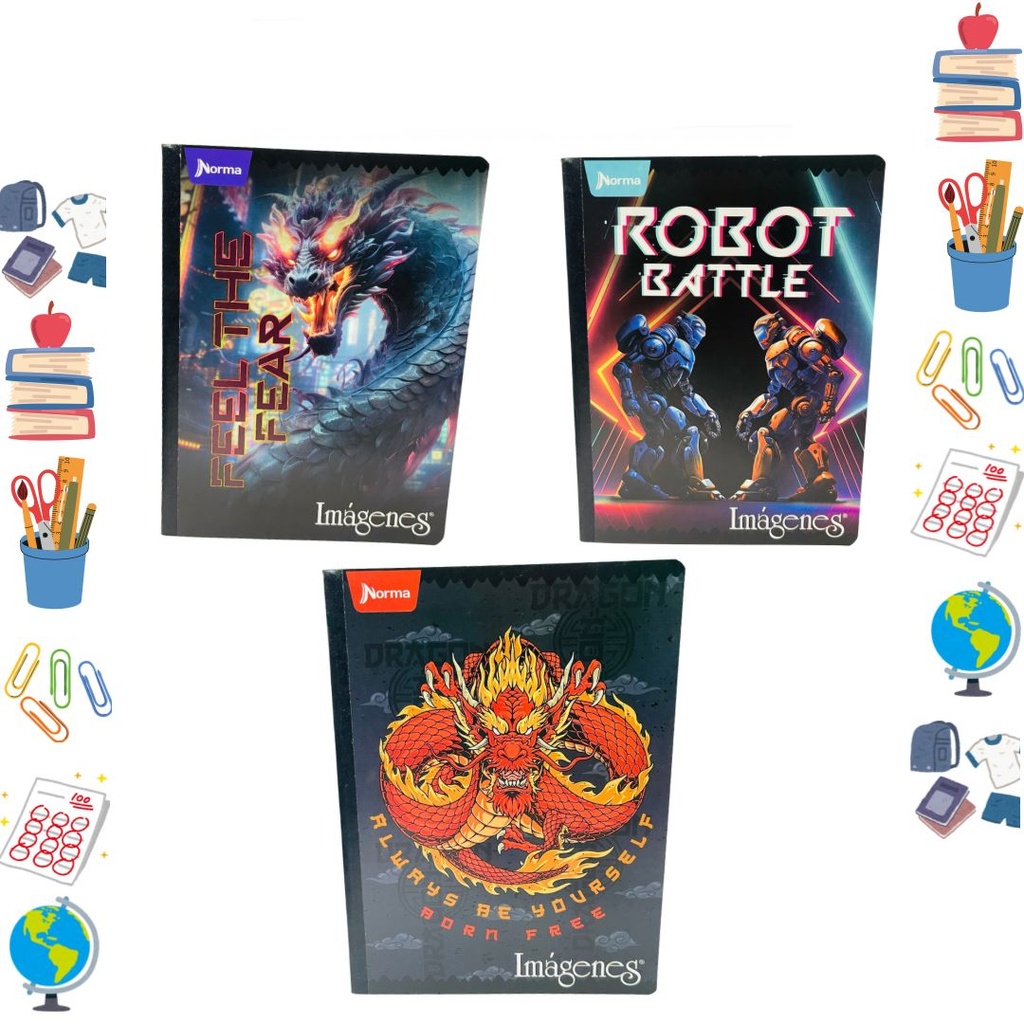 Cuaderno norma cosido economico 100H cuadro surtido