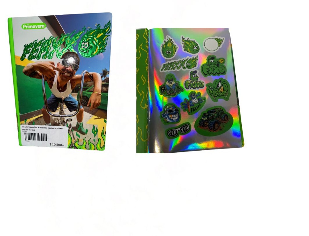 Cuaderno cosido primavera pasta dura 100H cuadro ferxxo