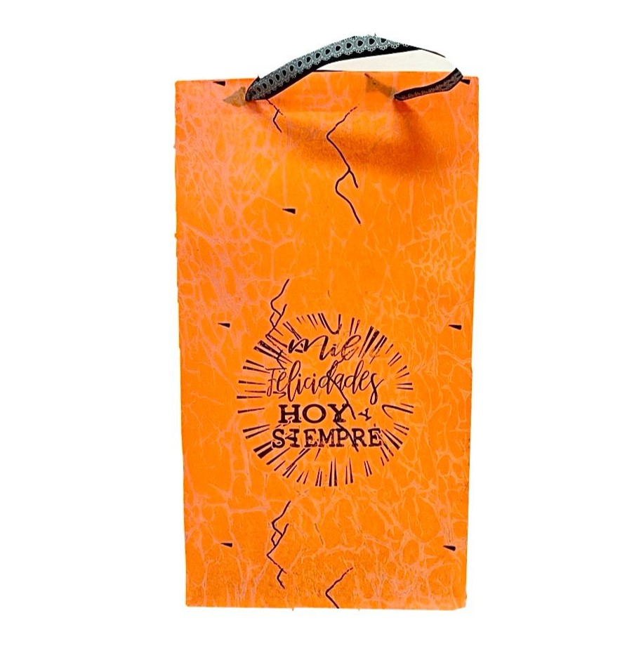 Bolsa regalo cariñito grd vertical novedad estampada PQT X6