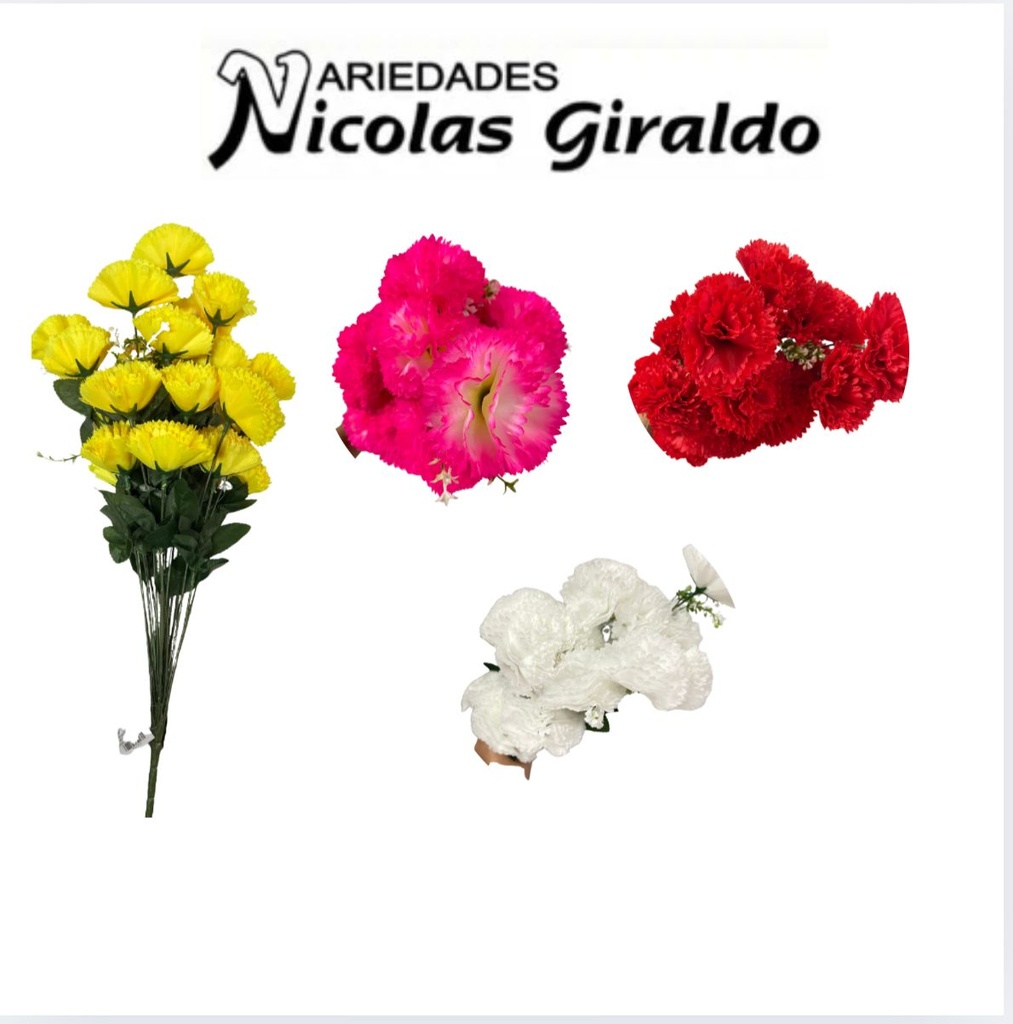 Flor ramo x24 clavel surtida