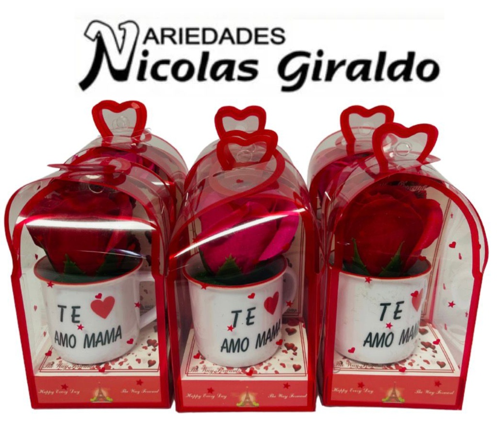 [PTQ2048] Regalo rosa en acetato cj x6