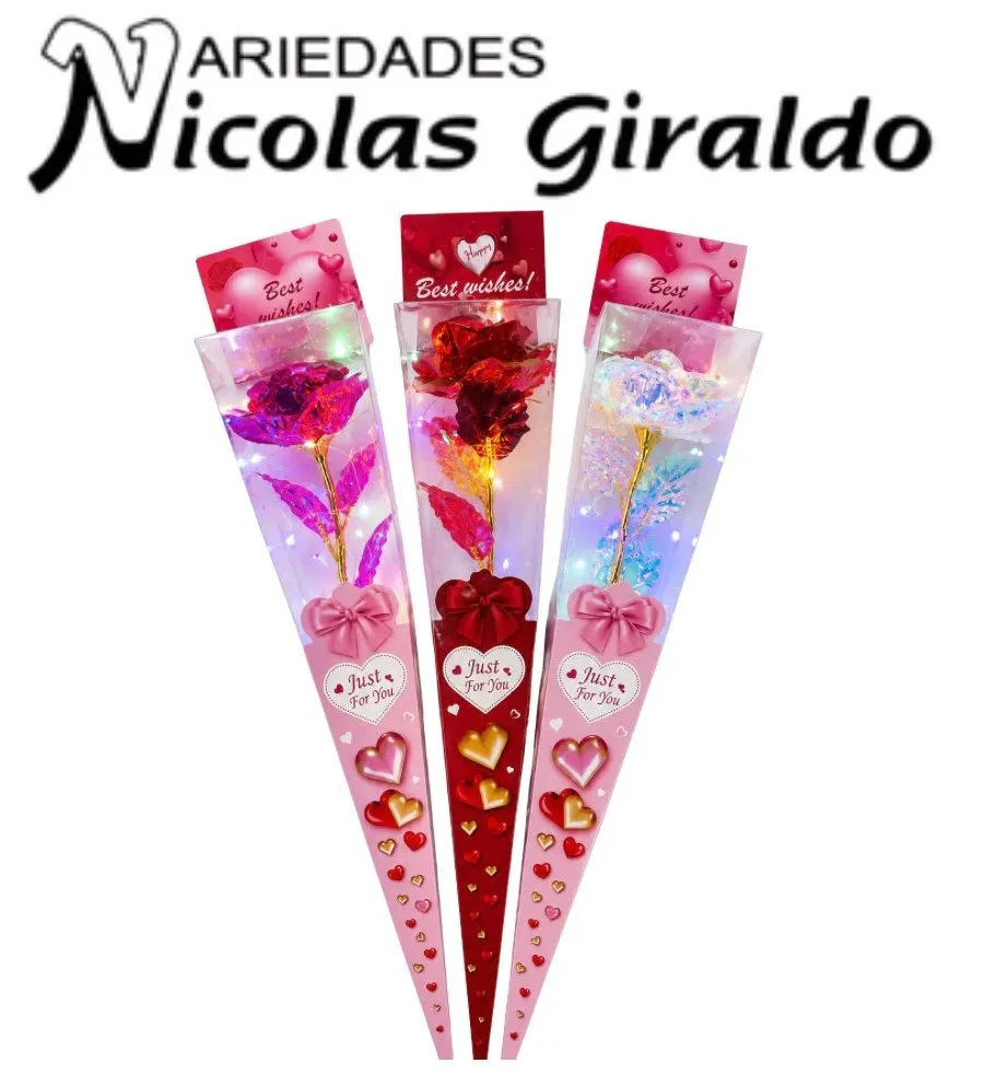 Detalle rosa brillante con luz en cono acetato
