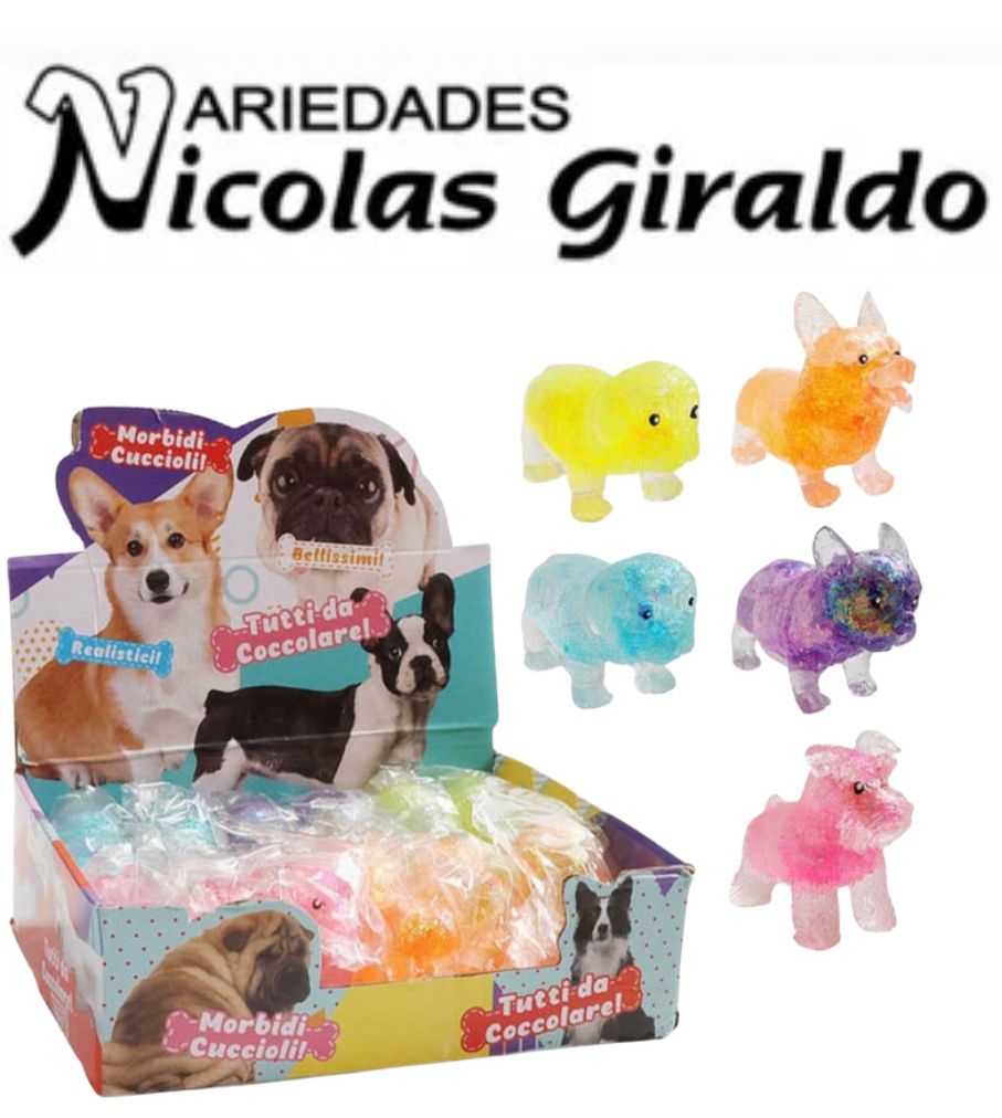 Squizzy perro mediano