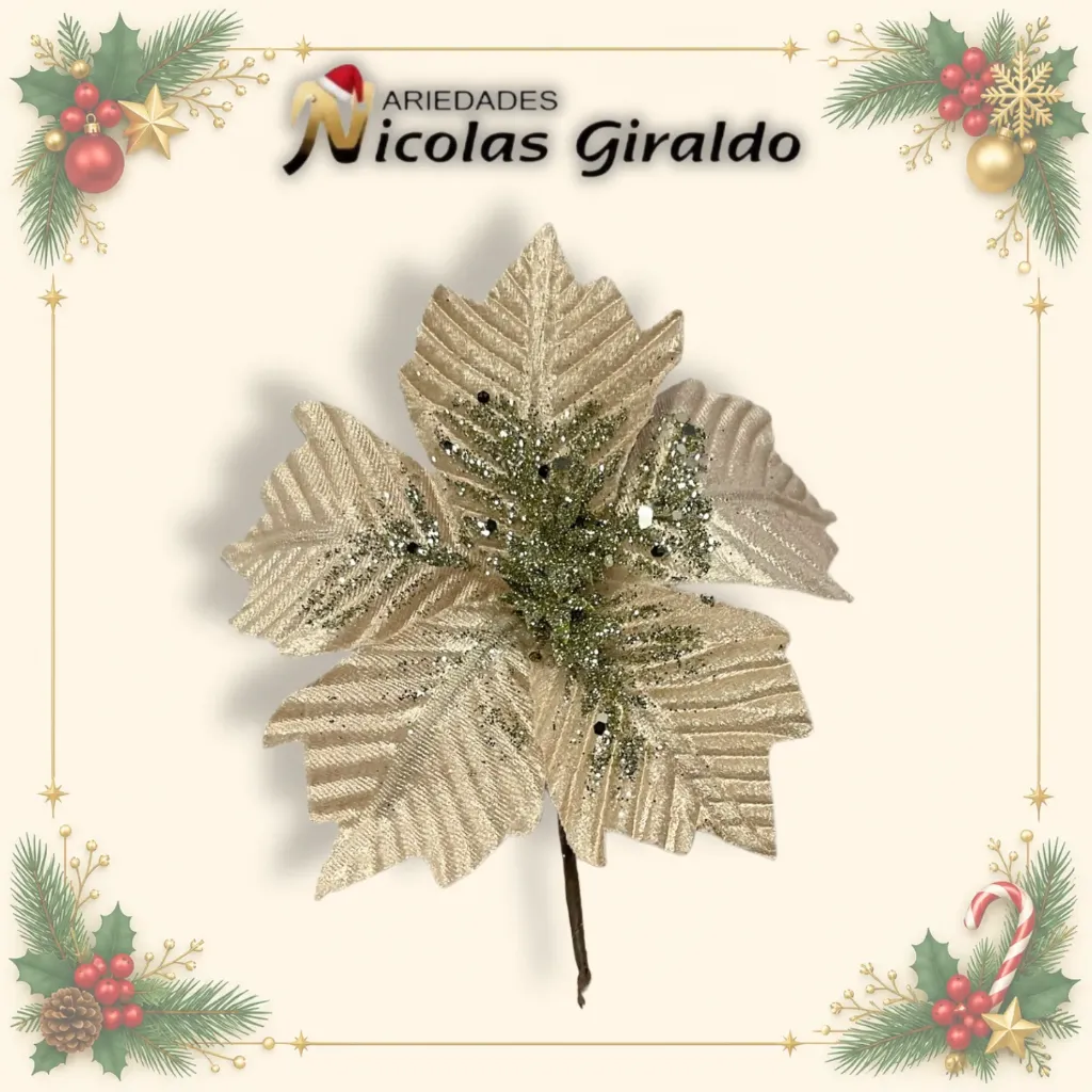 [W555CH] FLOR NAVIDAD PEQUEÑA CHAMPAÑA