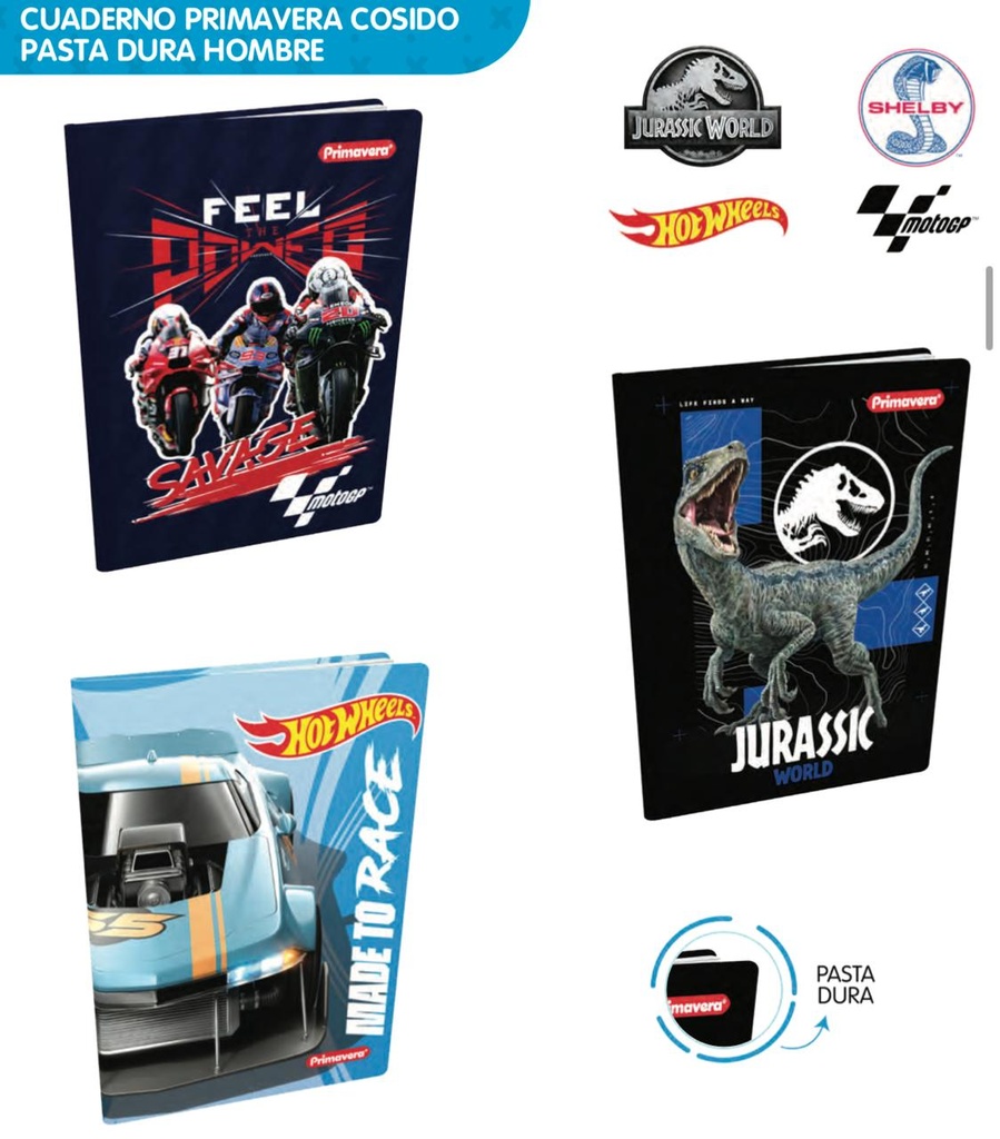 Cuaderno cosido prim. p.dura100 H raya hombre