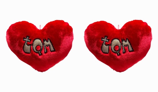 [100266] Cojin corazon 25x23 toda ocasion cariñitos