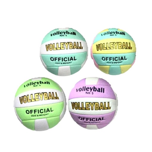 [VH5280-123] Balon voleibol fino