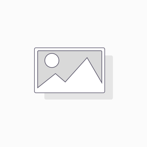 [558860] Color norma premium x50